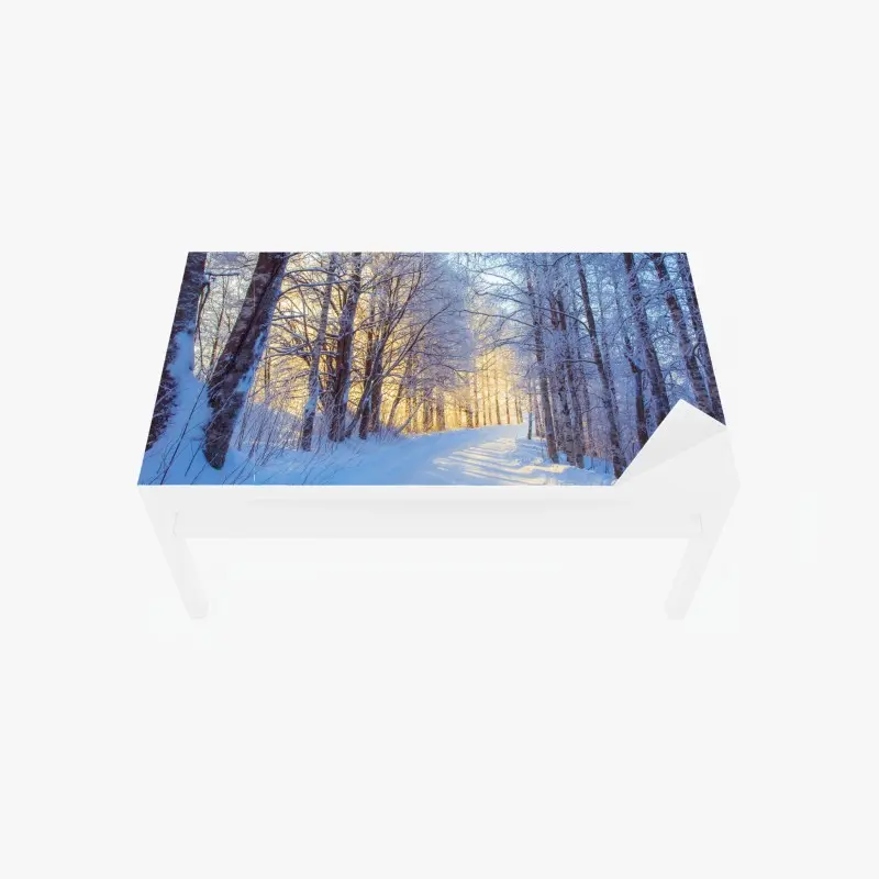Table & desk veneer winter birch forest pathway at sunrise