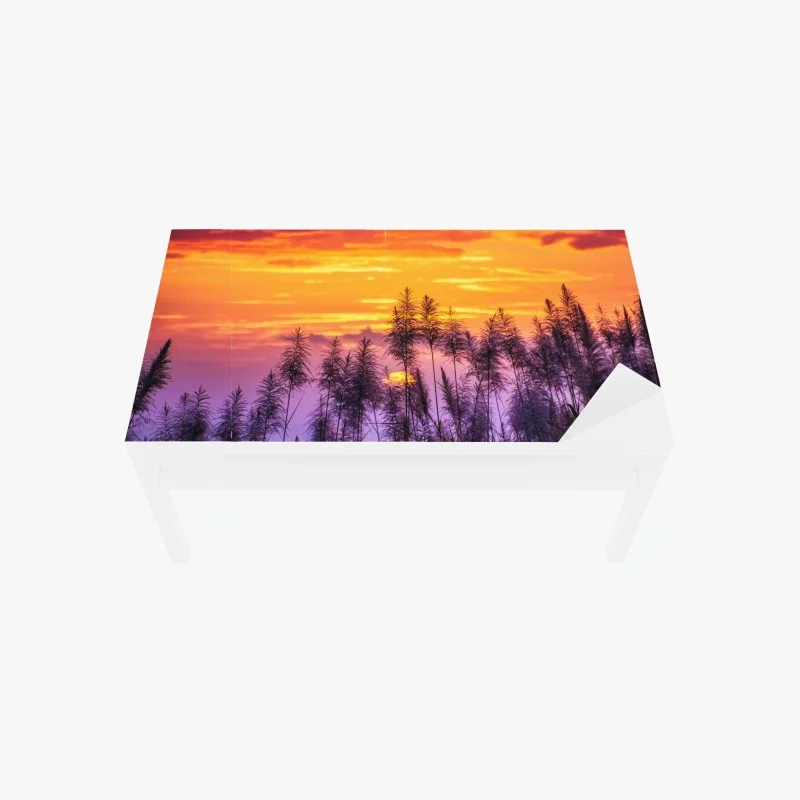 Table & desk veneer golden sunset over wild grasses
