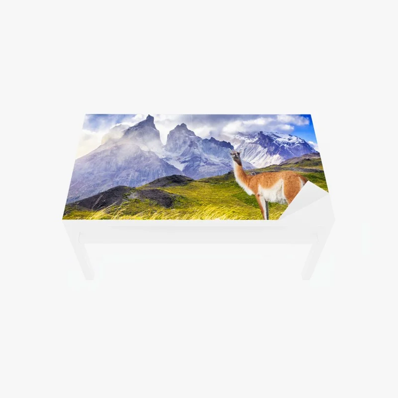 Table & desk veneer Torres del Paine Patagonia landscape with guanaco
