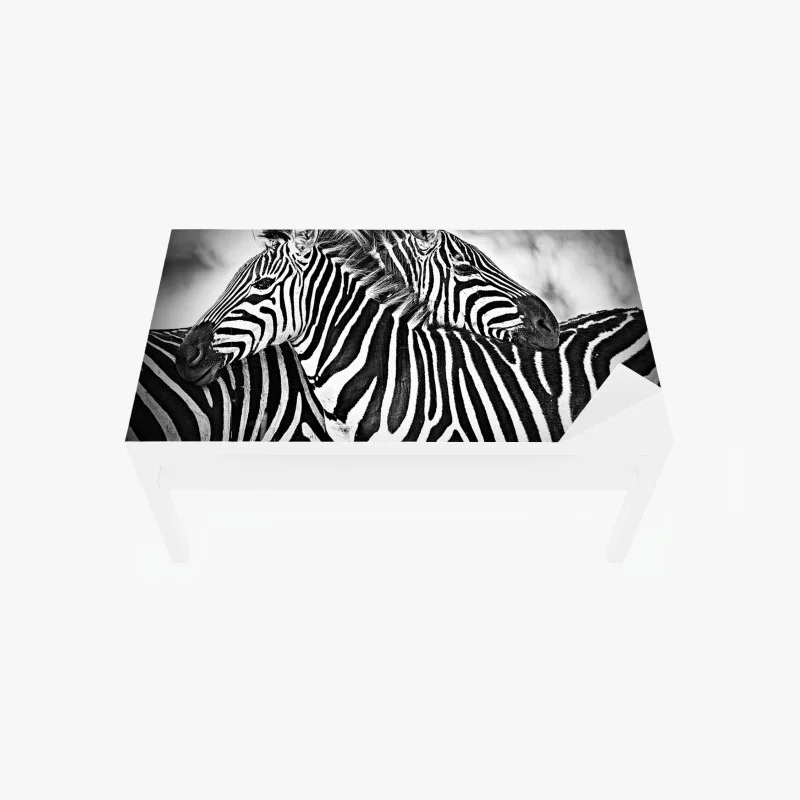 Table & desk veneer zebra embrace in monochrome