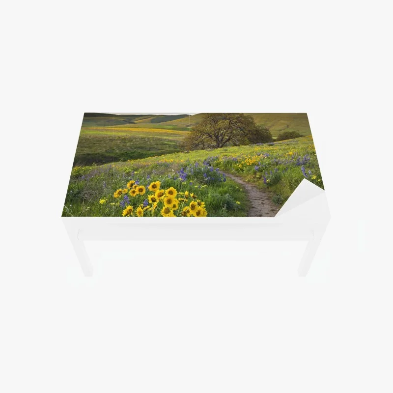 Table & desk veneer meadow path with yellow wildflowers and oak tree