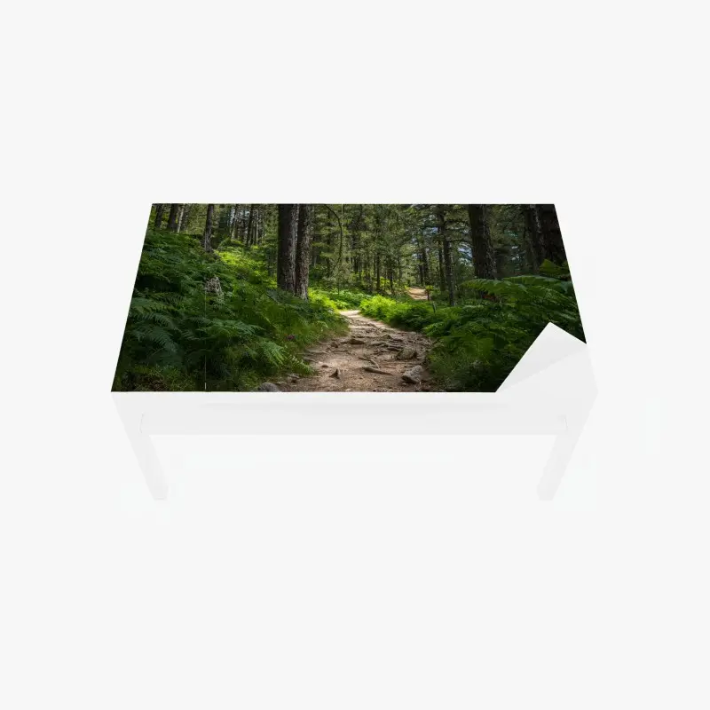 Table & desk veneer serene forest path through lush greenery