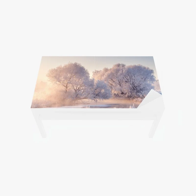 Table & desk veneer frosted trees at sunrise