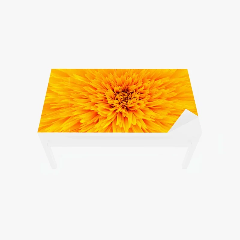 Table & desk veneer radiant sunflower close-up