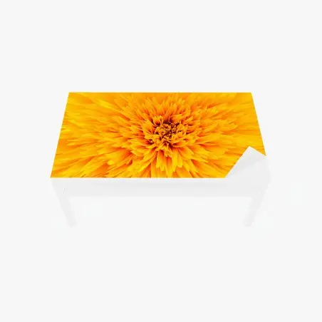 Table & desk veneer radiant sunflower close-up • Wallissimo®