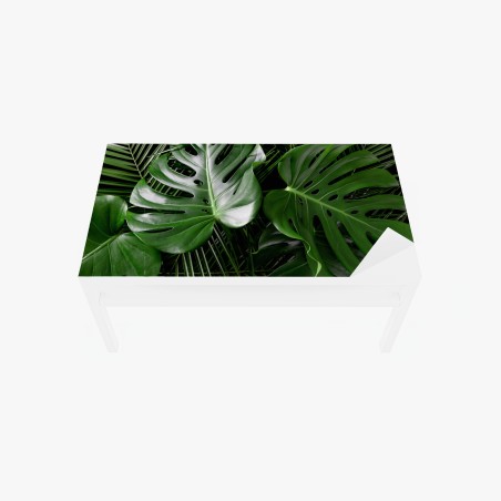 Table & desk veneer lush monstera leaves composition • Wallissimo®