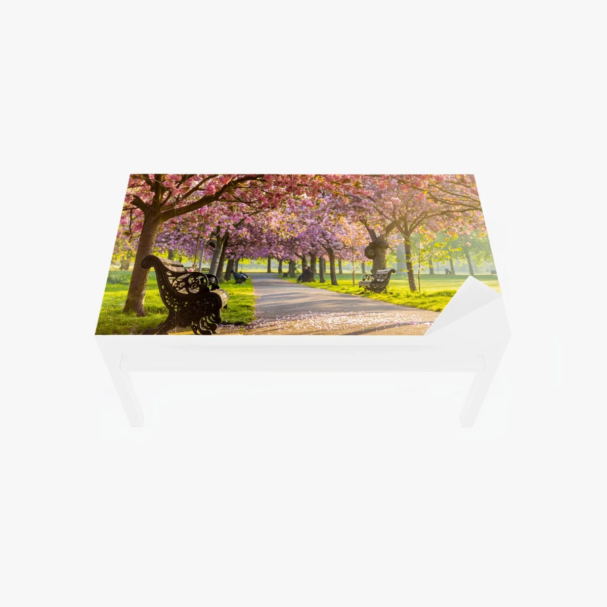 Table & desk veneer cherry blossom avenue in spring ⁕ Wallissimo® Table & desk veneer cherry blossom avenue in spring ⁕ Wallissimo®