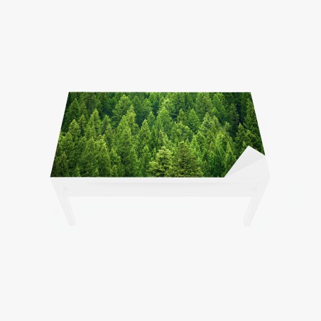 Table & desk veneer lush pine forest canopy • Wallissimo®