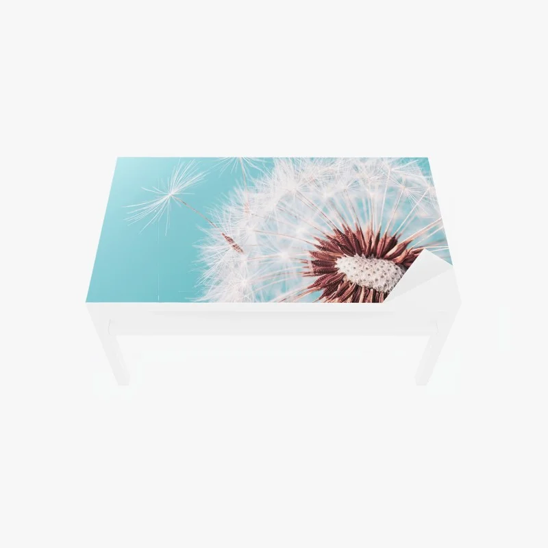 Table & desk veneer delicate dandelion on turquoise background