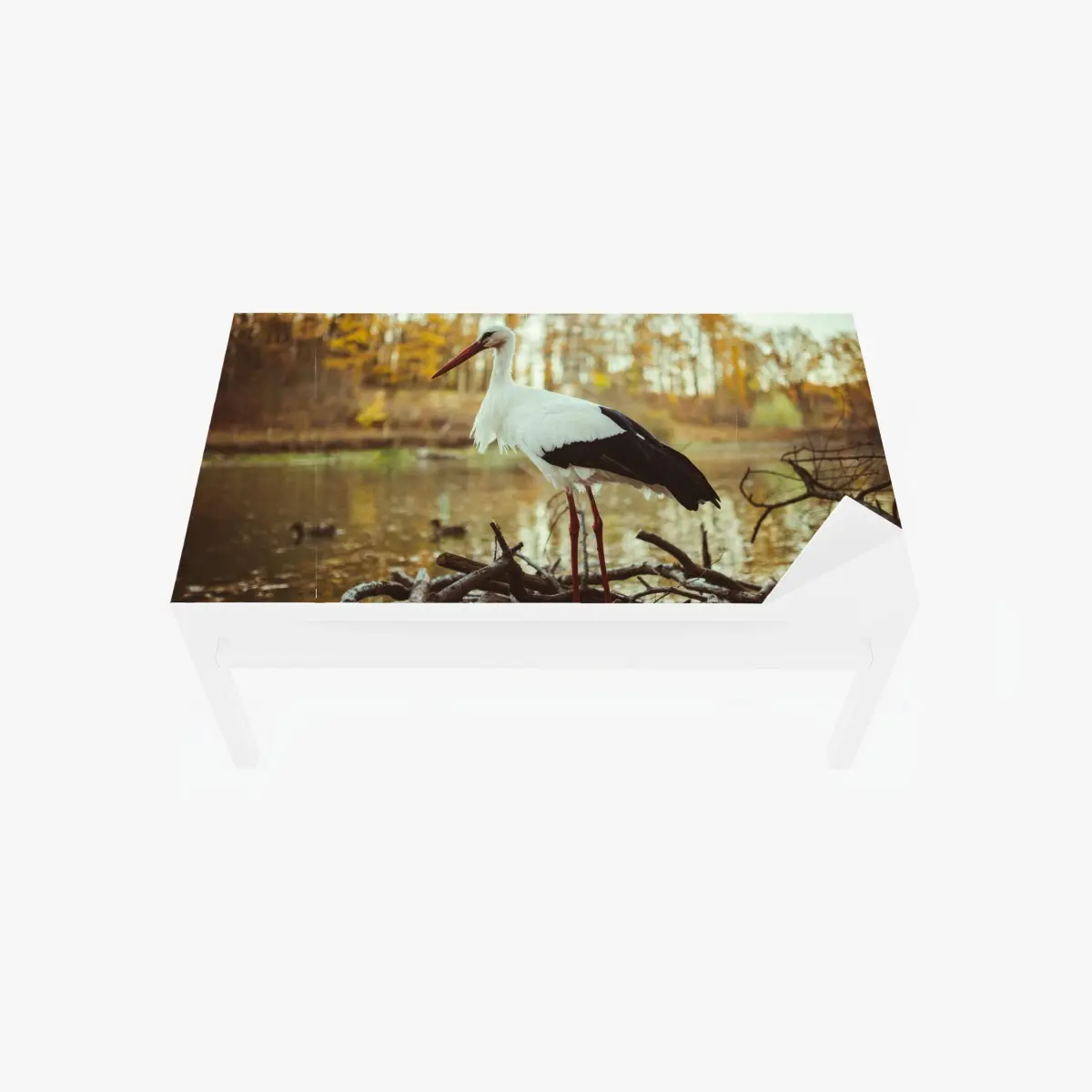 Table & desk veneer white stork by autumn lake ⁕ Wallissimo® Table & desk veneer white stork by autumn lake ⁕ Wallissimo®