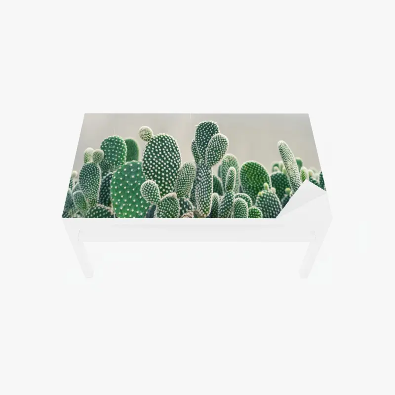 Table & desk veneer opuntia cactus close-up