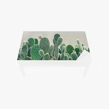 Table & desk veneer opuntia cactus close-up • Wallissimo®