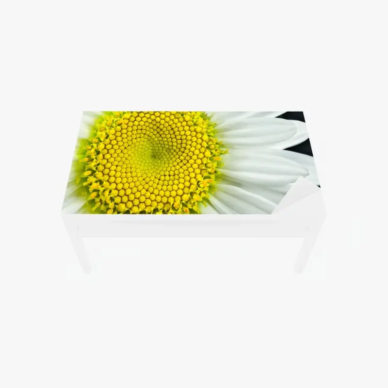 Table & desk veneer shasta daisy macro spiral