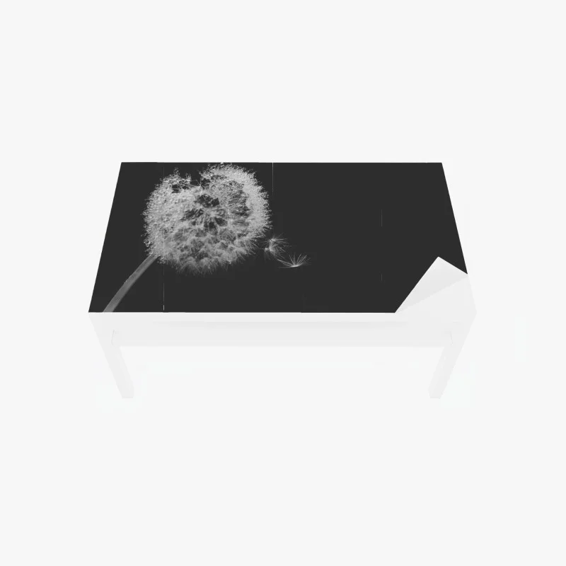 Table & desk veneer delicate dandelion in monochrome