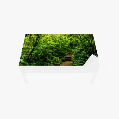 Table & desk veneer lush green forest trail • Wallissimo®