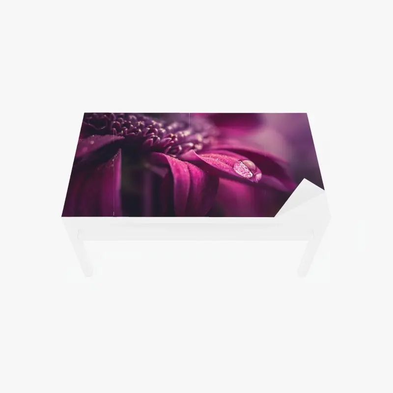 Table & desk veneer purple macro blossom with dewdrop