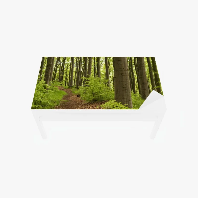Table & desk veneer tranquil green forest trail