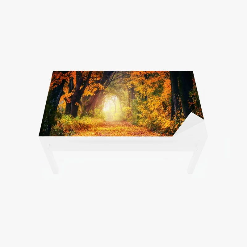 Table & desk veneer autumn forest pathway at golden hour