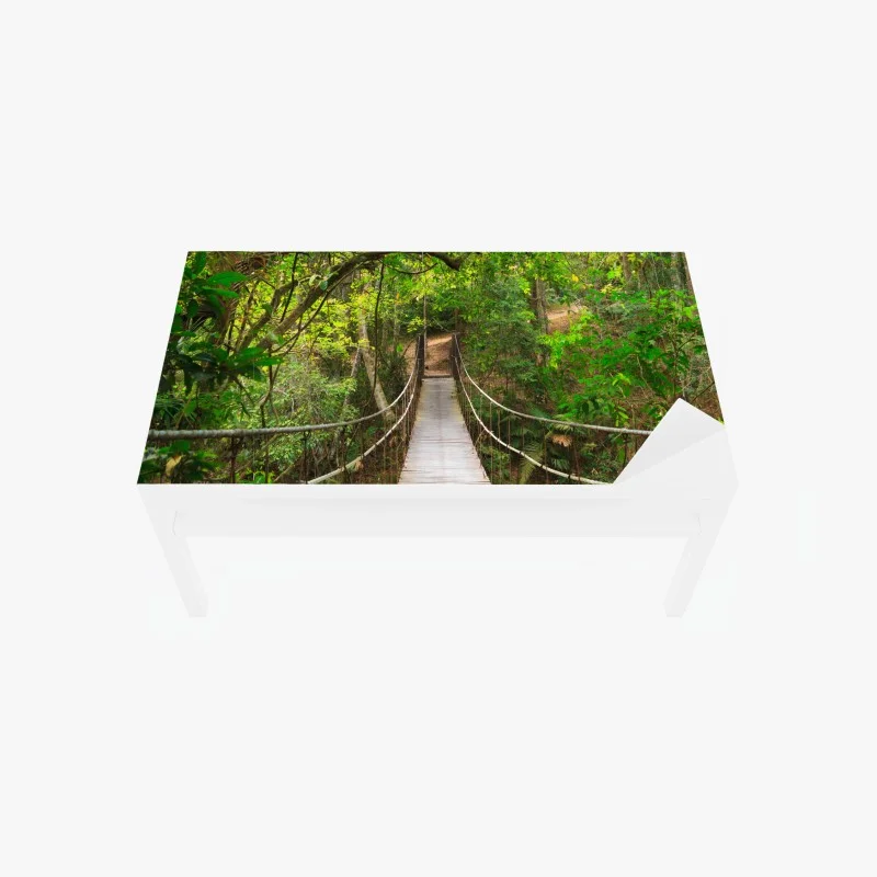 Table & desk veneer suspended forest footbridge through green canopy