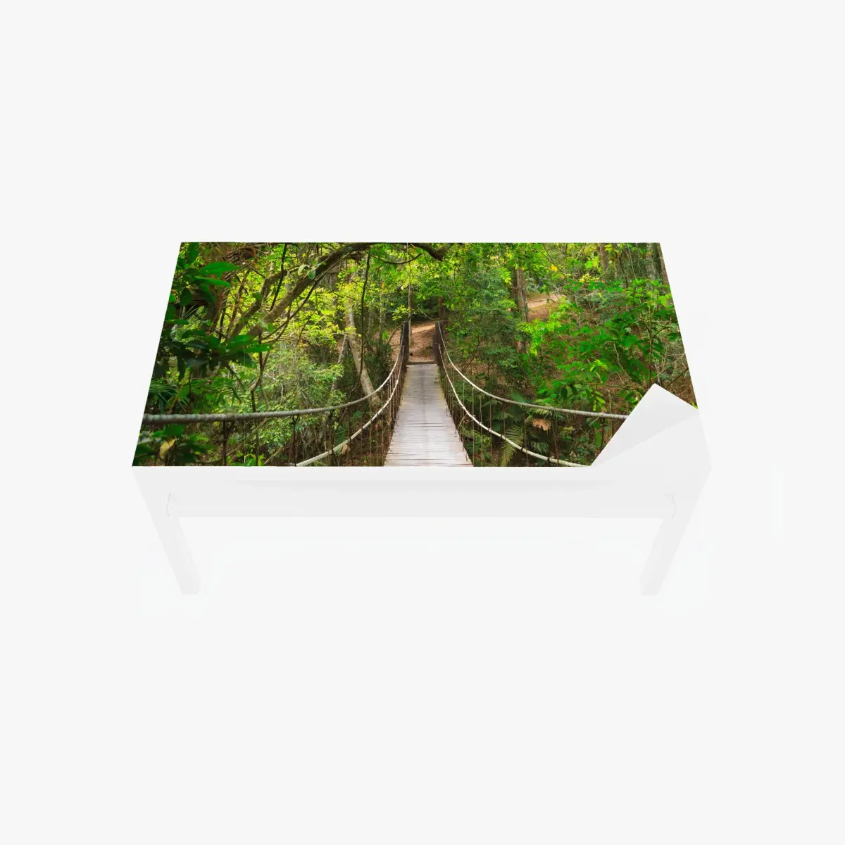 Table & desk veneer suspended forest footbridge through green canopy ⁕ Wallissimo® Table & desk veneer suspended forest footbridge through green canopy ⁕ Wallissimo®
