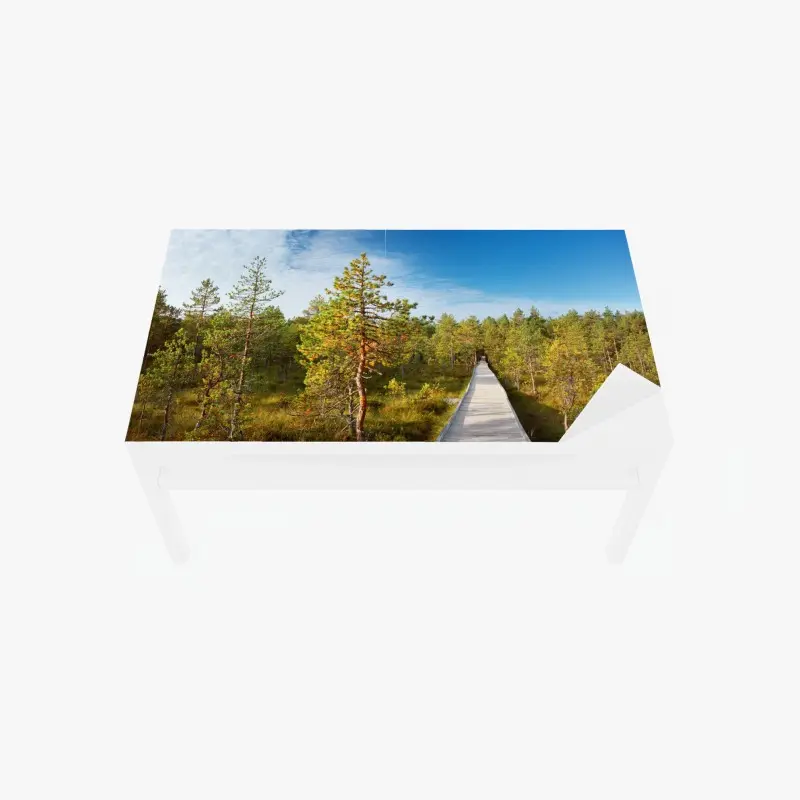 Table & desk veneer sunny pine forest boardwalk