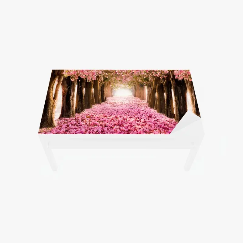 Table & desk veneer pink blossom pathway under cherry trees