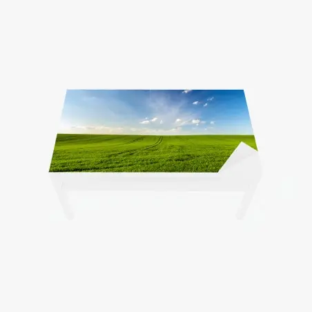 Table & desk veneer spring green meadow panorama • Wallissimo®