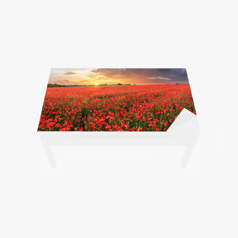Table & desk veneer sunset poppy field panorama