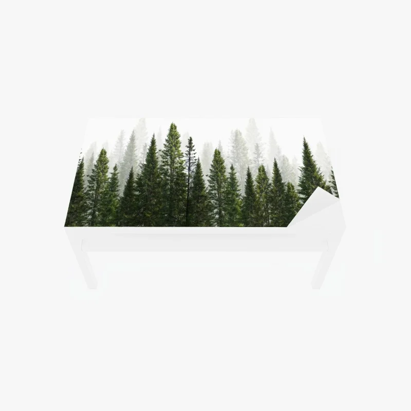 Table & desk veneer misty fir forest panorama