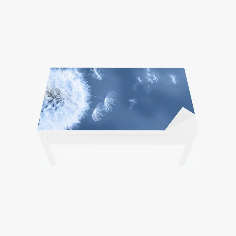 Table & desk veneer gentle dandelion seeds in blue
