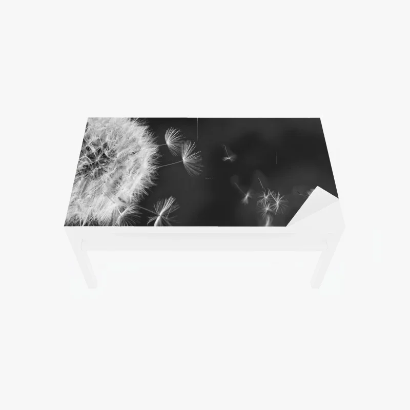 Table & desk veneer floating dandelion seeds