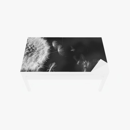 Table & desk veneer floating dandelion seeds • Wallissimo®