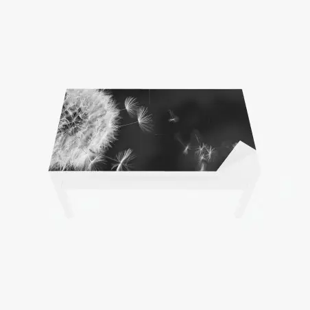 Table & desk veneer floating dandelion seeds • Wallissimo®