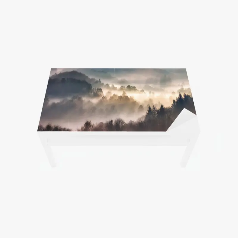 Table & desk veneer misty forest at dawn