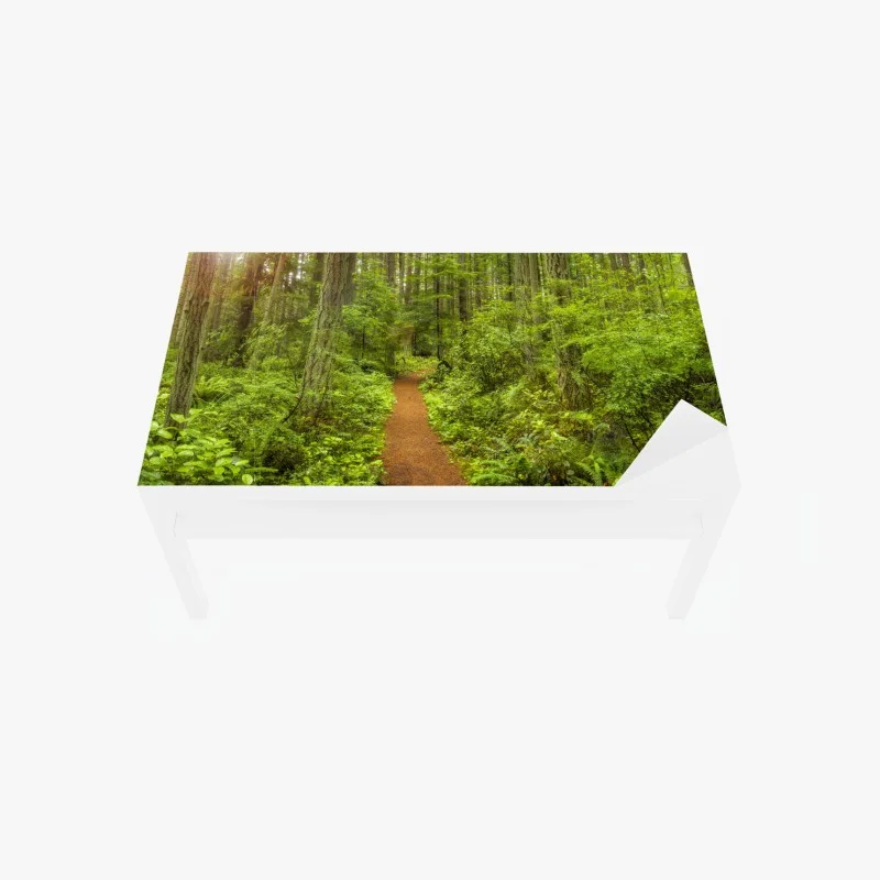 Table & desk veneer serene forest trail panorama