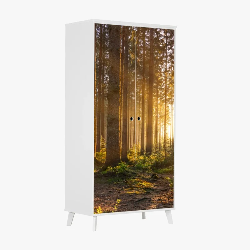 Wardrobe sticker sunlit forest pathway at sunrise