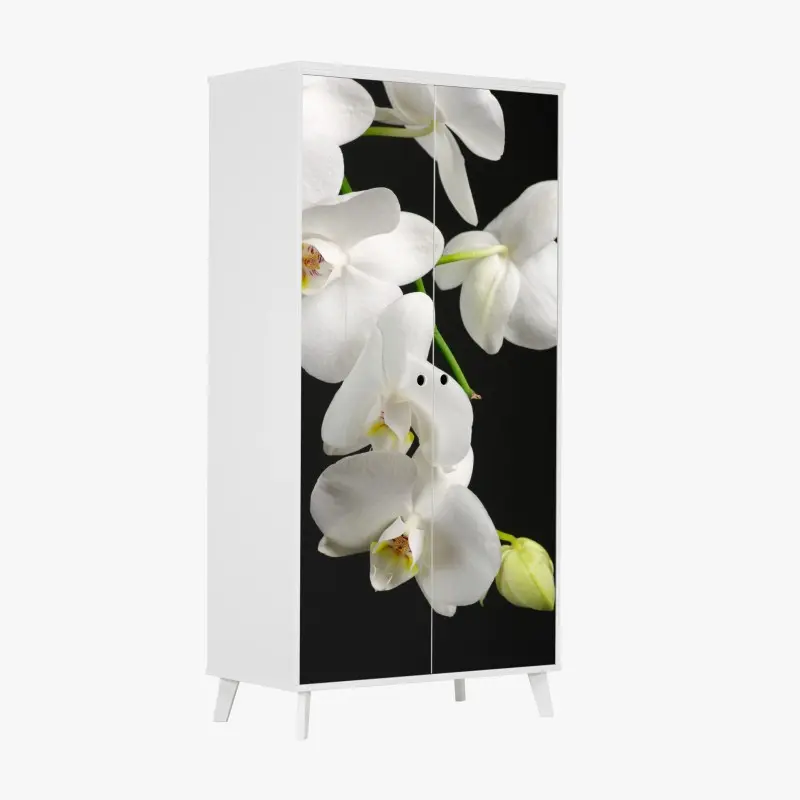 Wardrobe sticker white orchid branch on black background