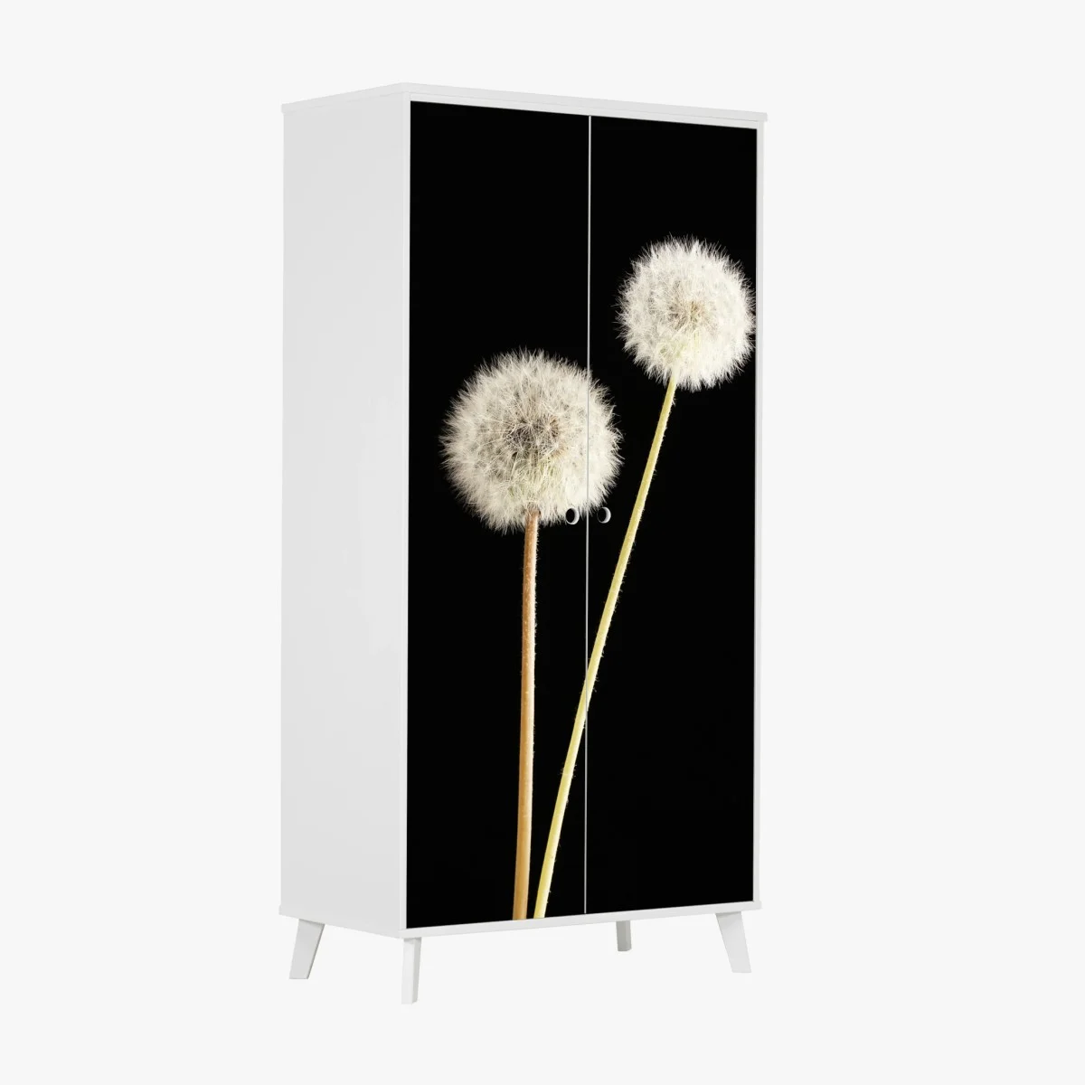 Wardrobe sticker delicate dandelion seed heads on black ⁕ Wallissimo® Wardrobe sticker delicate dandelion seed heads on black ⁕ Wallissimo®