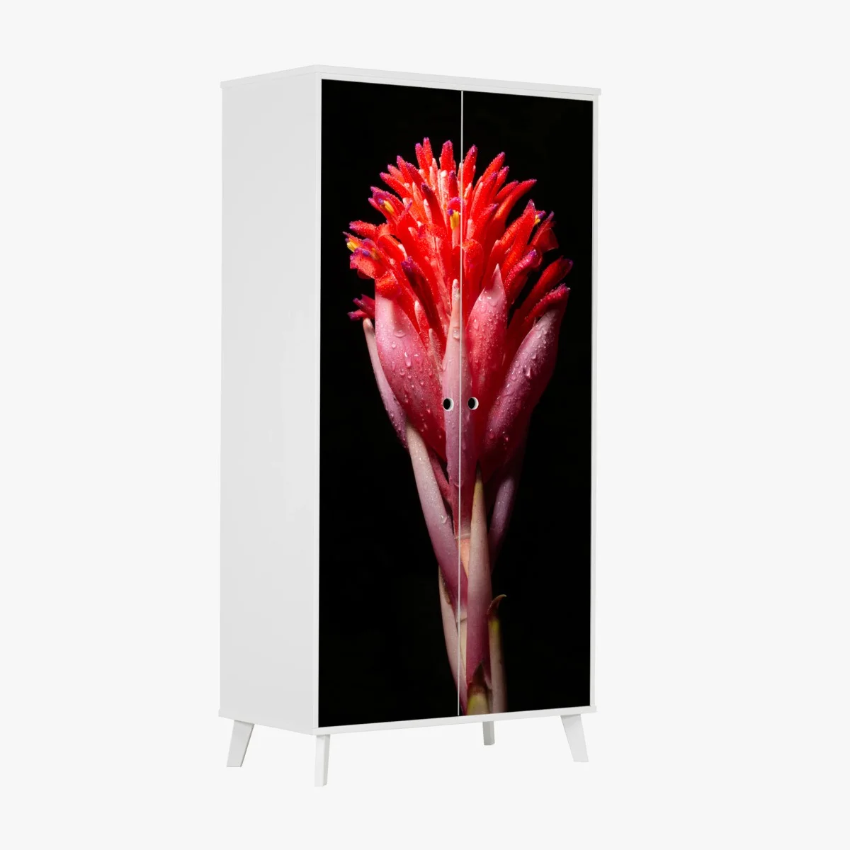 Wardrobe sticker vibrant pink bloom on black background ⁕ Wallissimo® Wardrobe sticker vibrant pink bloom on black background ⁕ Wallissimo®