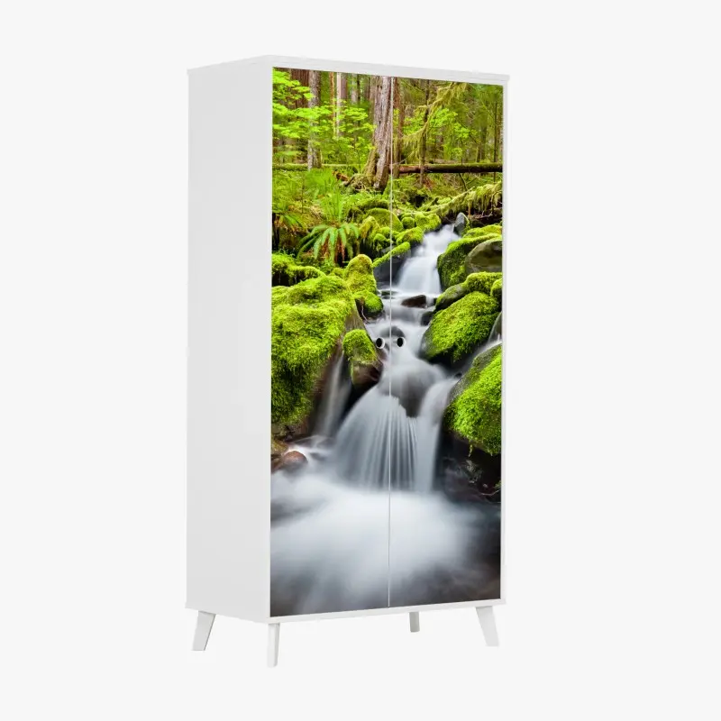 Wardrobe sticker mossy creek at Sol Duc Falls
