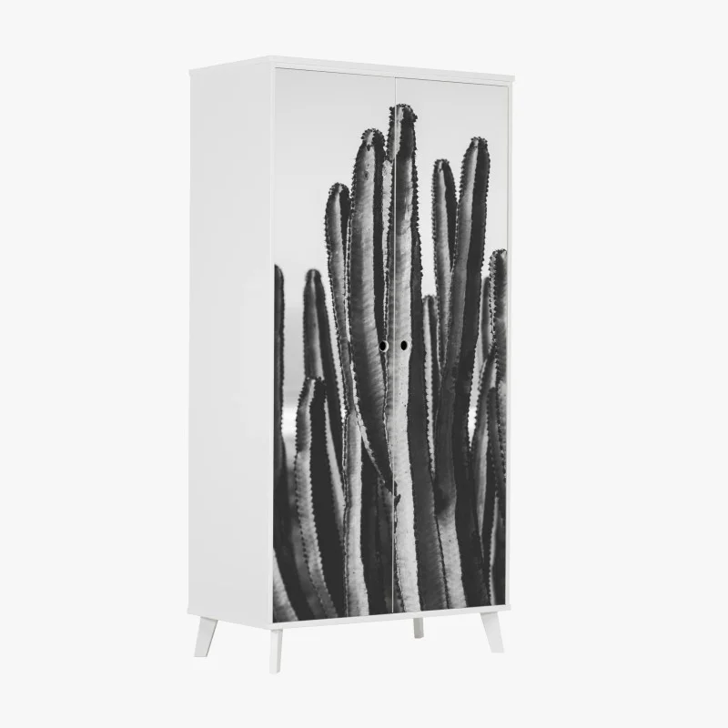 Wardrobe sticker monochrome cactus close-up