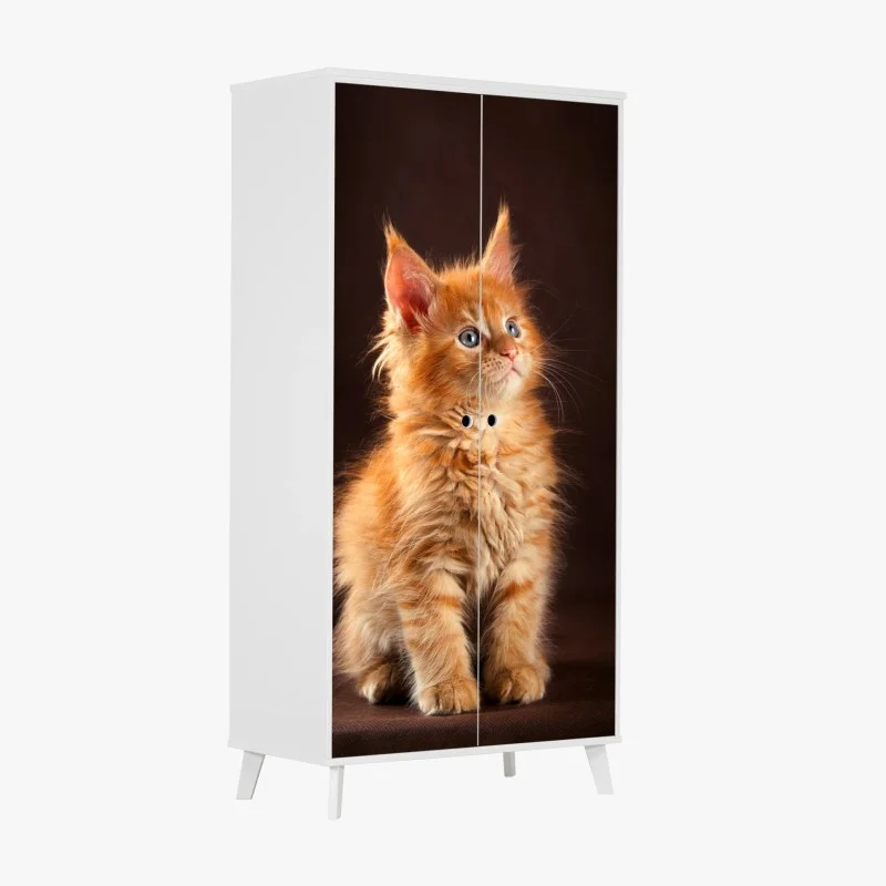 Wardrobe sticker curious ginger kitten portrait