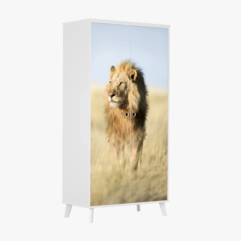 Wardrobe sticker majestic African lion in grassland