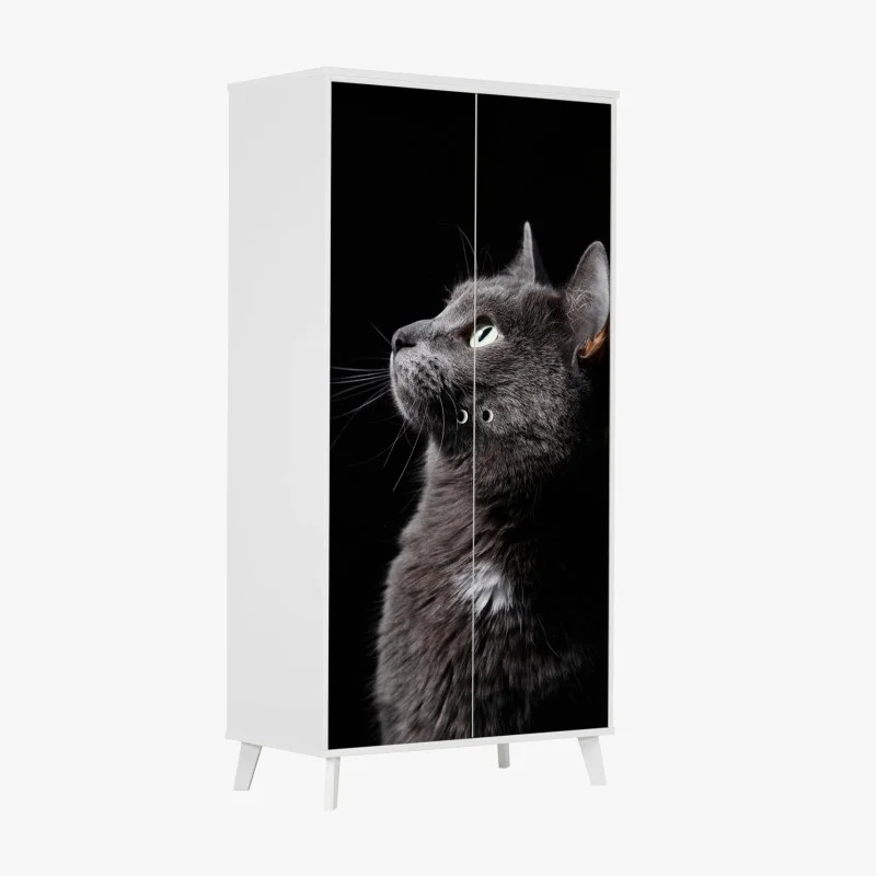 Wardrobe sticker elegant gray cat portrait