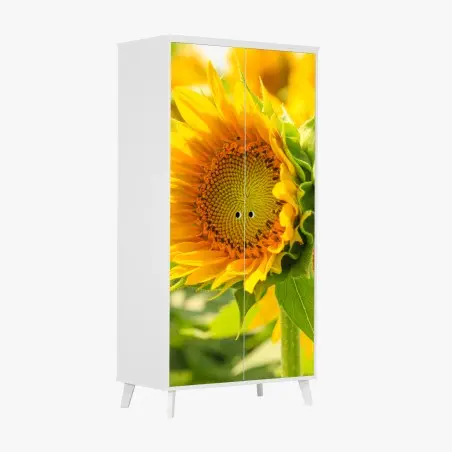 Wardrobe sticker sunflower bloom close-up • Wallissimo®