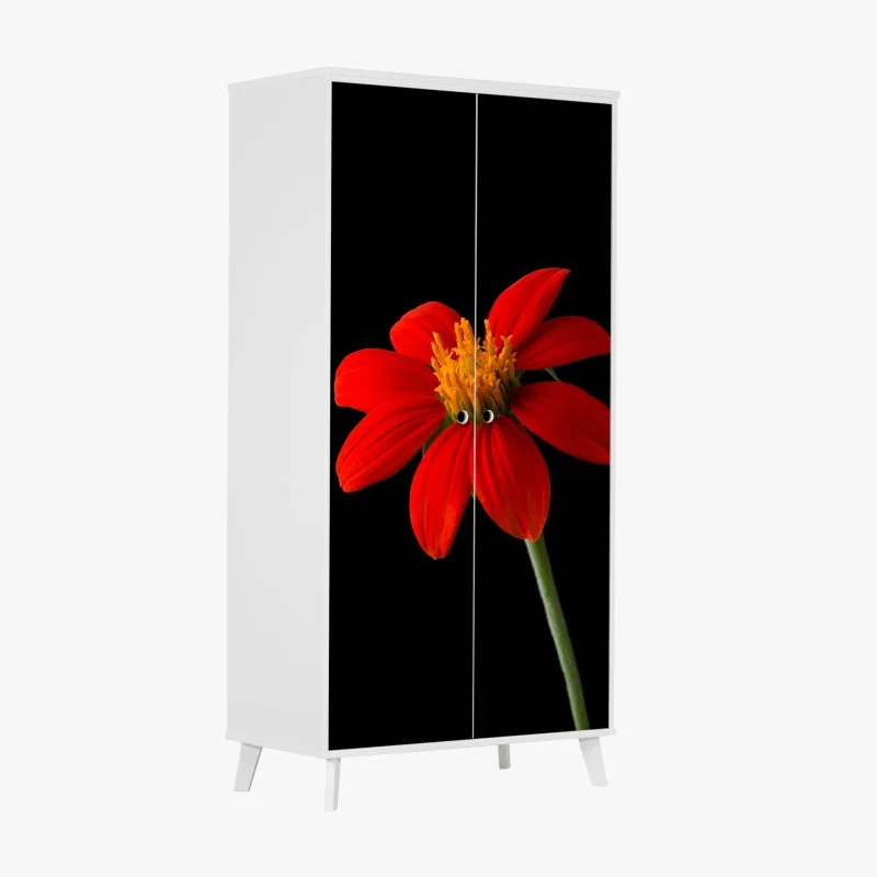Wardrobe sticker vivid mexican sunflower on black background