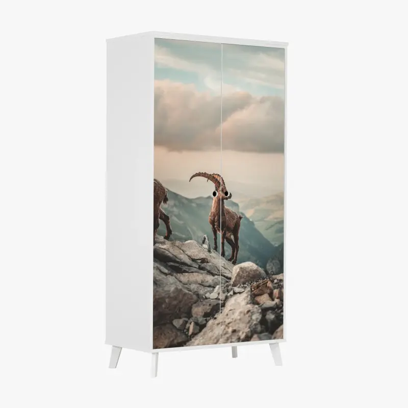 Wardrobe sticker mountain ibex on a rocky ridge