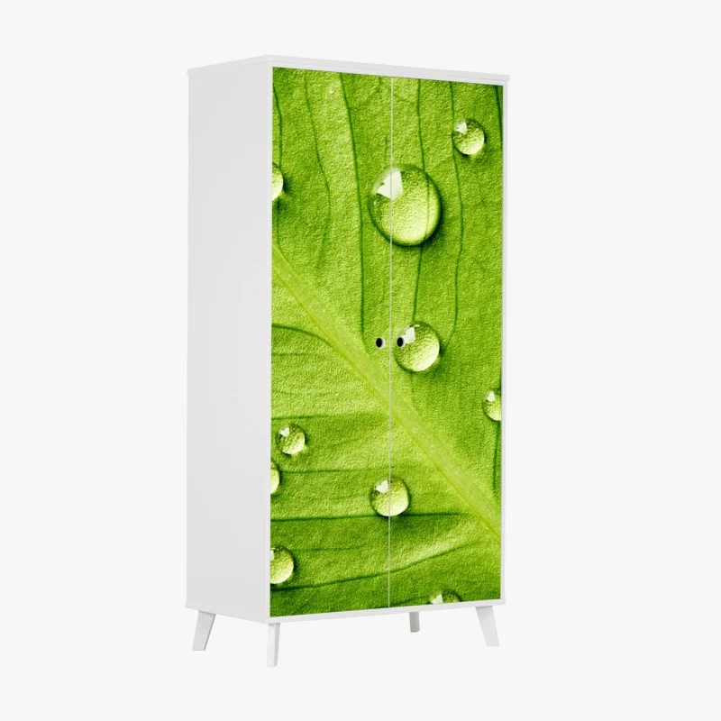 Wardrobe sticker fresh green leaf with water droplets