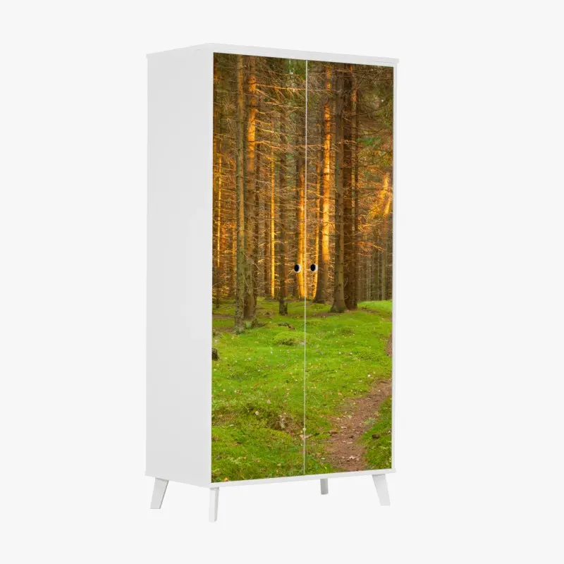 Wardrobe sticker golden light in mossy pine forest