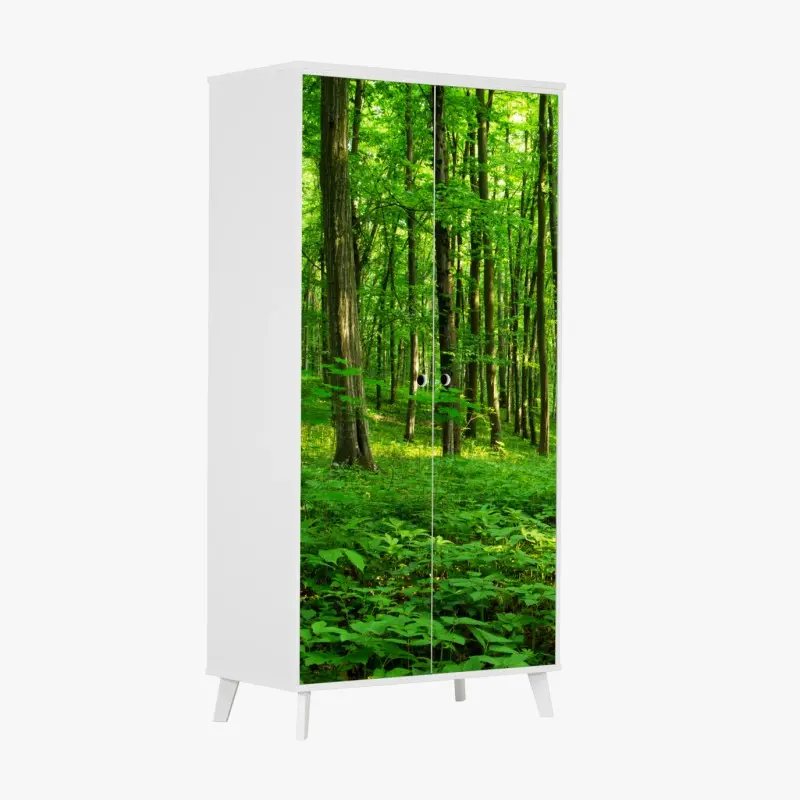 Wardrobe sticker sunlit green forest in spring